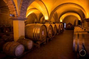 Barris de Brunello na vinícola Patrizia Cencioni, na Toscana
